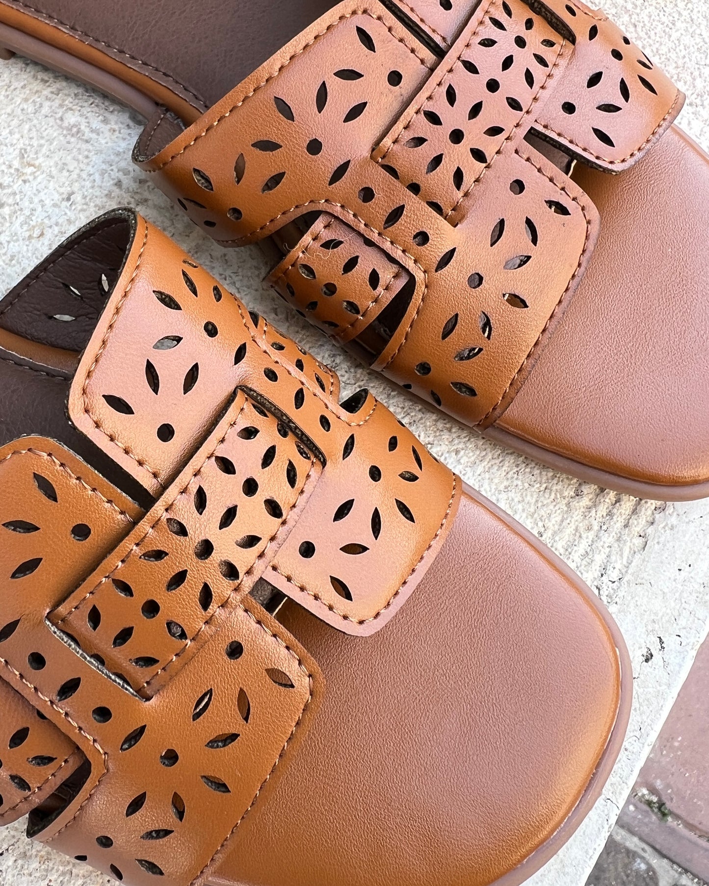 Ciabatta Fatima Camel